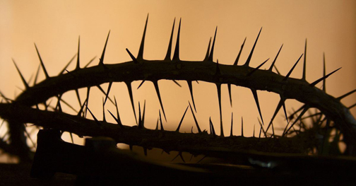 [Photo of the crown of thorns]